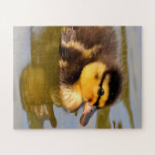 Baby Mallard Duck schwimmen Puzzle (Horizontal)