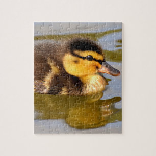 Baby Mallard Duck schwimmen Puzzle