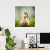 Baby Mallard Ducking Poster (Heimbüro)