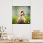 Baby Mallard Ducking Poster (Küche)