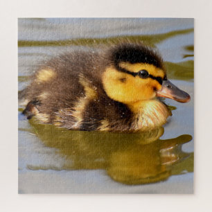 Baby Mallard Ente Schwimmen Puzzle