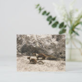 Baby & Mama Squirrel Postkarte (Stehend Vorderseite)