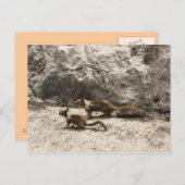 Baby & Mama Squirrel Postkarte (Vorne/Hinten)
