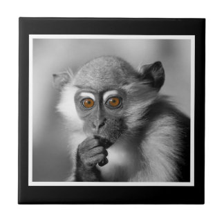 Baby Mangabey Monkey Fliese