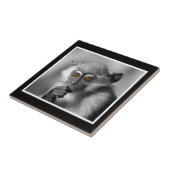 Baby Mangabey Monkey Fliese (Seite)