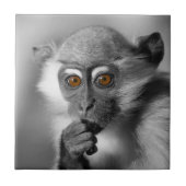 Baby Mangabey Monkey Fliese (Vorderseite)