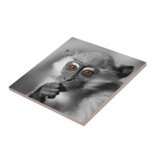 Baby Mangabey Monkey Fliese (Seite)