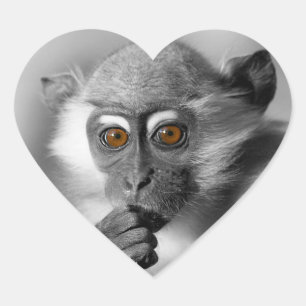Baby Mangabey Monkey Herz-Aufkleber