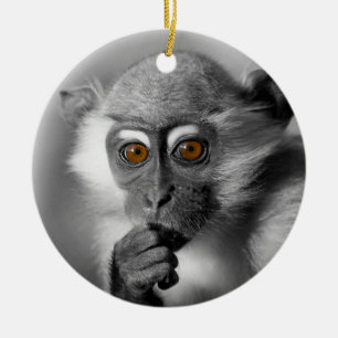 Baby Mangabey Monkey Keramikornament