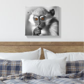 Baby Mangabey Monkey Leinwanddruck (Insitu (Schlafzimmer))