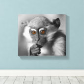 Baby Mangabey Monkey Leinwanddruck (Insitu (Holzboden))