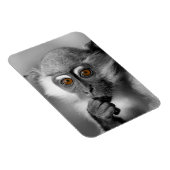 Baby Mangabey Monkey Magnet (Rechte Seite)