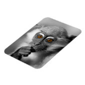 Baby Mangabey Monkey Magnet (Linke Seite)