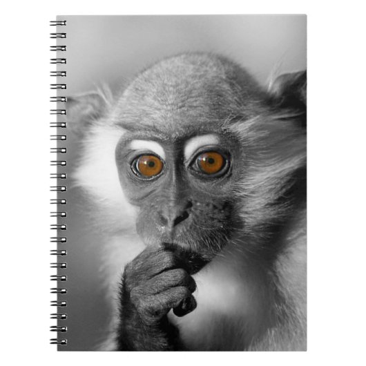 Baby Mangabey Monkey Notizblock (Vorderseite)