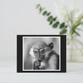 Baby Mangabey Monkey Postkarte (Stehend Vorderseite)