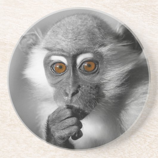 Baby Mangabey Monkey Sandstein Untersetzer (Vorne)