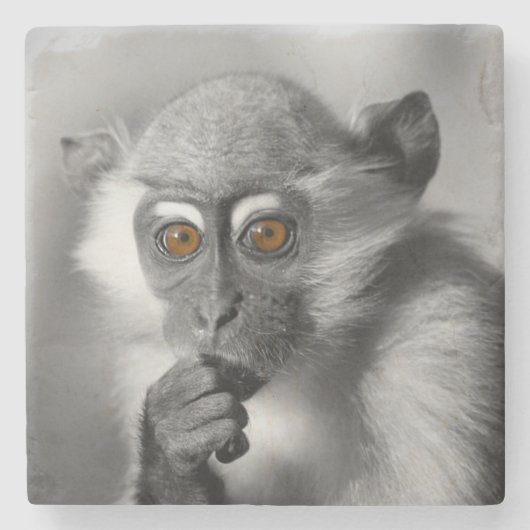 Baby Mangabey Monkey Steinuntersetzer (Vorderseite)