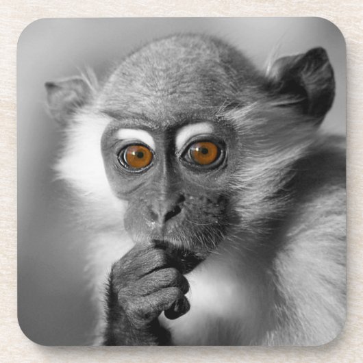 Baby Mangabey Monkey Untersetzer (Vorderseite)
