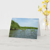 Baby Mangrove Trees in der Karibik Karte (Gelbe Blume)