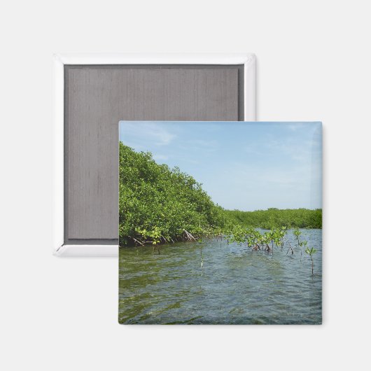 Baby Mangrove Trees in der Karibik Magnet (Vorderseite/Rückseite)