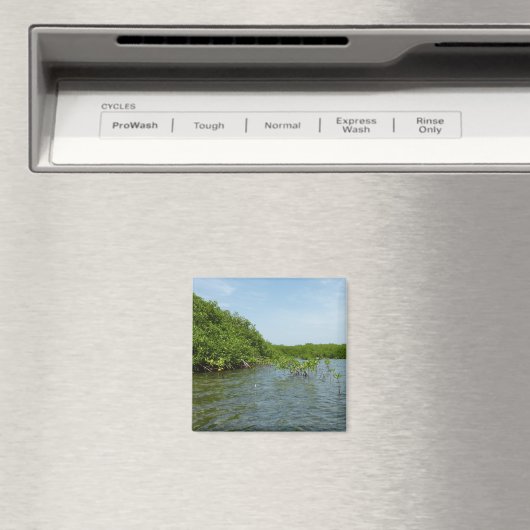 Baby Mangrove Trees in der Karibik Magnet (In Situ (Geschirrspüler))