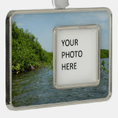 Baby Mangrove Trees in der Karibik Rahmen-Ornament Silber (Rechts)