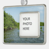 Baby Mangrove Trees in der Karibik Rahmen-Ornament Silber (Links)