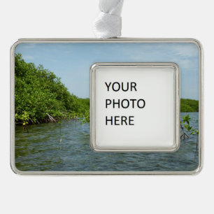 Baby Mangrove Trees in der Karibik Rahmen-Ornament Silber