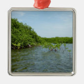 Baby Mangrove Trees in der Karibik Silbernes Ornament (Vorne)
