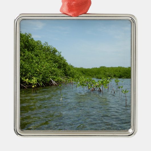 Baby Mangrove Trees in der Karibik Silbernes Ornament (Vorne)