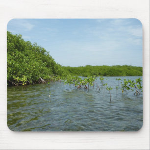 Baby Mangrove Trees Karibik Mousepad