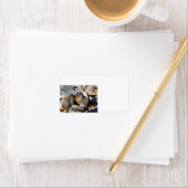 Baby Marmots Adressaufkleber (Insitu)