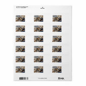 Baby Marmots Adressaufkleber (Vorne)