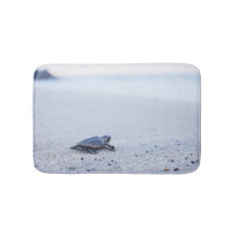 Baby-Meeresschildkröte