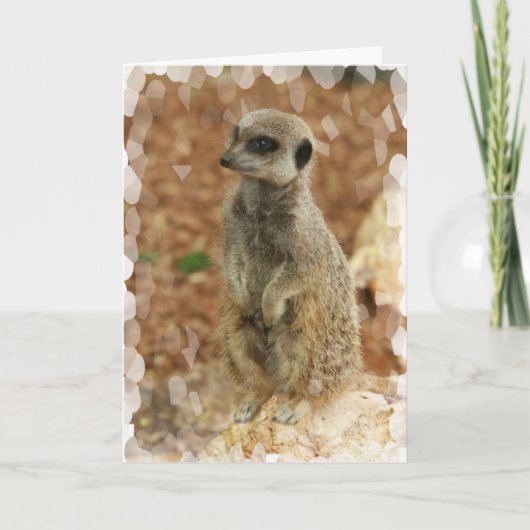 Baby Meerkat Gruß-Karte Karte (Vorderseite)