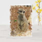 Baby Meerkat Gruß-Karte Karte (Gelbe Blume)