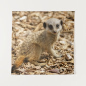 Baby Meerkat Poster Wandteppich (Vorderseite)