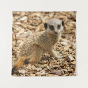 Baby Meerkat Poster Wandteppich