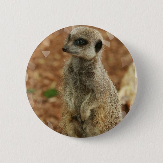 Baby Meerkat runder Knopf Button (Vorderseite)