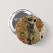 Baby Meerkat runder Knopf Button (Vorne & Hinten)