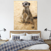 Baby Meerkat sitzt im Sand Leinwanddruck (Insitu (Schlafzimmer))