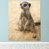 Baby Meerkat sitzt im Sand Leinwanddruck (Insitu (Holzboden))