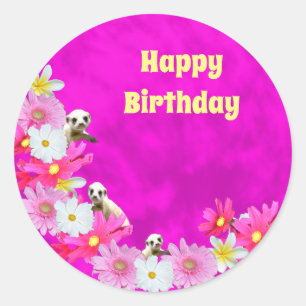 Baby Meerkat und Blume, Rundkleber Runder Aufkleber