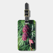 Baby Miniature Pine Cones Natur Personalisiert Gepäckanhänger (Vorderseite vertikal)