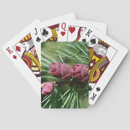 Baby Miniature Pine Cones Nature Spielkarten (Rückseite)