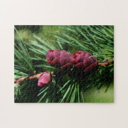 Baby Miniature Pine Cones Orton Effekt Puzzle (Horizontal)