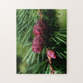 Baby Miniature Pine Cones Orton Effekt Puzzle (Vertikal)
