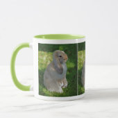 Baby Minilop Rabbit Tasse (Links)