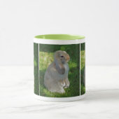 Baby Minilop Rabbit Tasse (Zentrum)
