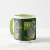 Baby Minilop Rabbit Tasse (Vorderseite Links)